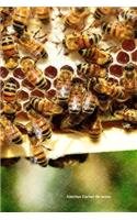 Abeilles Carnet de notes: Journal A5 ligné original de 119 pages- Une belle idée de cadeau pour les amoureux des animaux