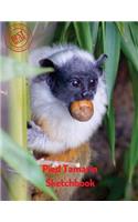 Pied Tamarin Sketchbook: (Sketchbook for Girls)