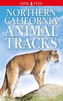 Northern California Animal Tracks