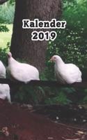 Kalender 2019: Hühner/Eier Kalender/Landwirt/Hobbyzüchter/Legeaufzeichnung/Eier Legeleistung