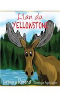 Yellowstone Moose