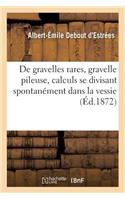 Observations de Gravelles Rares, Gravelle Pileuse, Calculs Se Divisant Spontanément Dans La Vessie