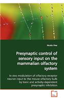 Presynaptic control of sensory input on the mammalian olfactory system