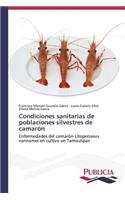 Condiciones sanitarias de poblaciones silvestres de camarón
