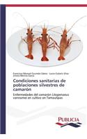 Condiciones sanitarias de poblaciones silvestres de camarón