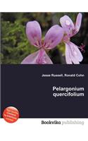 Pelargonium Quercifolium: (English)