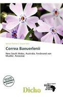 Correa Baeuerlenii