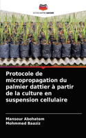 Protocole de micropropagation du palmier dattier à partir de la culture en suspension cellulaire