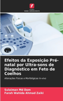 Efeitos da Exposição Pré-natal por Ultra-sons de Diagnóstico em Feto de Coelhos
