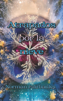 Atrapados por la nieve