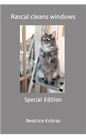 Rascal cleans windows