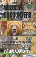 Wildlife Encounters