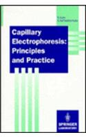 Capillary Electrophoresis: Principles and Practice