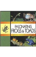 Fascinating Frogs & Toads