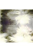 Quaerere