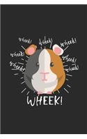 Wheek Guinea Pig