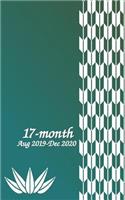 17-Month Aug 2019-Dec 2020