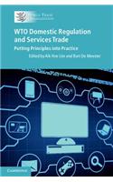Wto Domestic Regulation and Services Trade