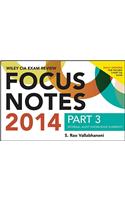 Wiley CIAexcel Exam Review 2014 Focus Notes: Internal Audit Knowledge Elements