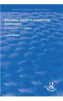 Efficiency Issues in Transitional Economies: Application to Hungary