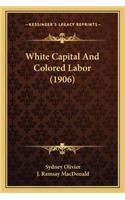 White Capital and Colored Labor (1906)