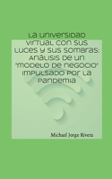 universidad virtual con sus luces y sus sombras