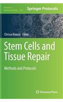 Stem Cells and Tissue Repair