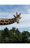 Giraffe - Notizbuch XXL: Format Letter (ca. A4), karriert und liniert in einem, 100 Seiten