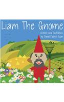 Liam The Gnome