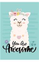 You Are Awesome
