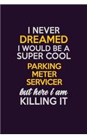 I Never Dreamed I Would Be A Super cool Parking Meter Servicer But Here I Am Killing It