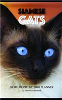 Siamese Cats Note Monthly 2020 Planner 12 Month Calendar