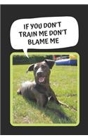 Dog Training