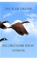 Live your Dreams! Record your Ideas!