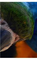 Macaw Notebook: 150 lined pages, softcover, 6" x 9"