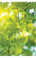 Leaf-Light Journal: Blank Notebook Diary Memoir Log Logue(48 Go Green 365 Lined)