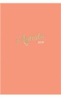 Agenda 2019: 2019 Weekly Monthly Planner Organizer - 6x9 - Vintage Pink + Gold Hand-Lettering(2 12-Month Calendar)