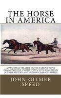 Horse in America