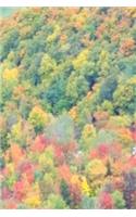 2019 Daily Planner Fall Foliage Mountain View 384 Pages: (2019 Planners Calendars Organizers Datebooks Appointment Books Agendas)