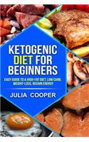 Ketogenic diet for beginners