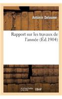 Rapport Sur Les Travaux de l'Année