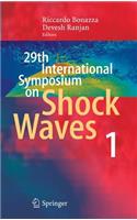 29th International Symposium on Shock Waves 1