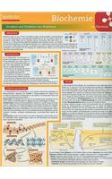 Biochemie Im Berblick