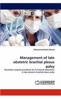 Management of Late Obstetric Brachial Plexus Palsy