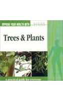 Improve Your Health With Trees & Plants