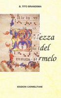 Bellezza del Carmelo: Appunti Storici Di Mistica Carmelitana. Pace E Amore Per La Pace