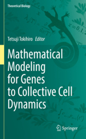 Mathematical Modeling for Genes to Collective Cell Dynamics