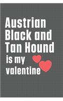 Austrian Black and Tan Hound is my valentine