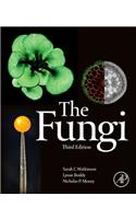 Fungi