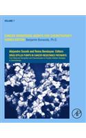 Drug Efflux Pumps in Cancer Resistance Pathways: From Molecular Recognition and Characterization to Possible Inhibition Strategies in Chemotherapy: Volume 7